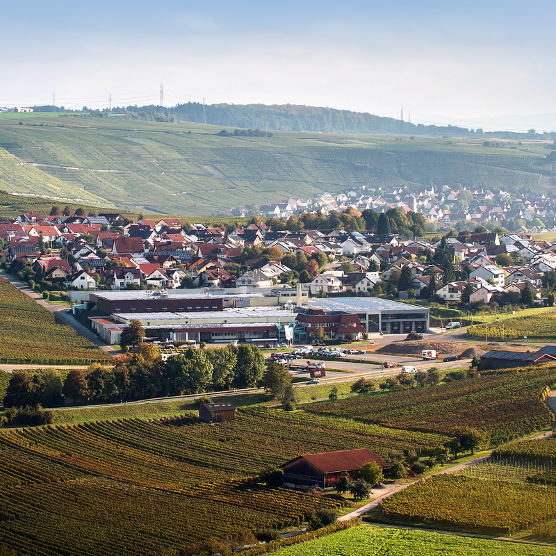 Felsengartenkellerei Hessigheim